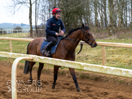 BP210325-35 - Squire Danagher